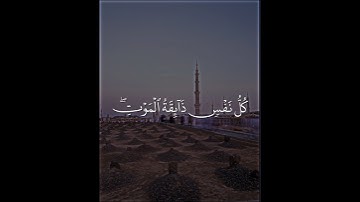 سورة العنكبوت #عبدالرحمن_مسعد #ياسر_الدوسري #محمد_اللحيدان #القرآن_الكريم #قرآن #quran #قران_كريم