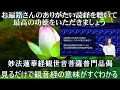 観音経　現代語訳【意味を見るだけ？　でご利益がいただける】