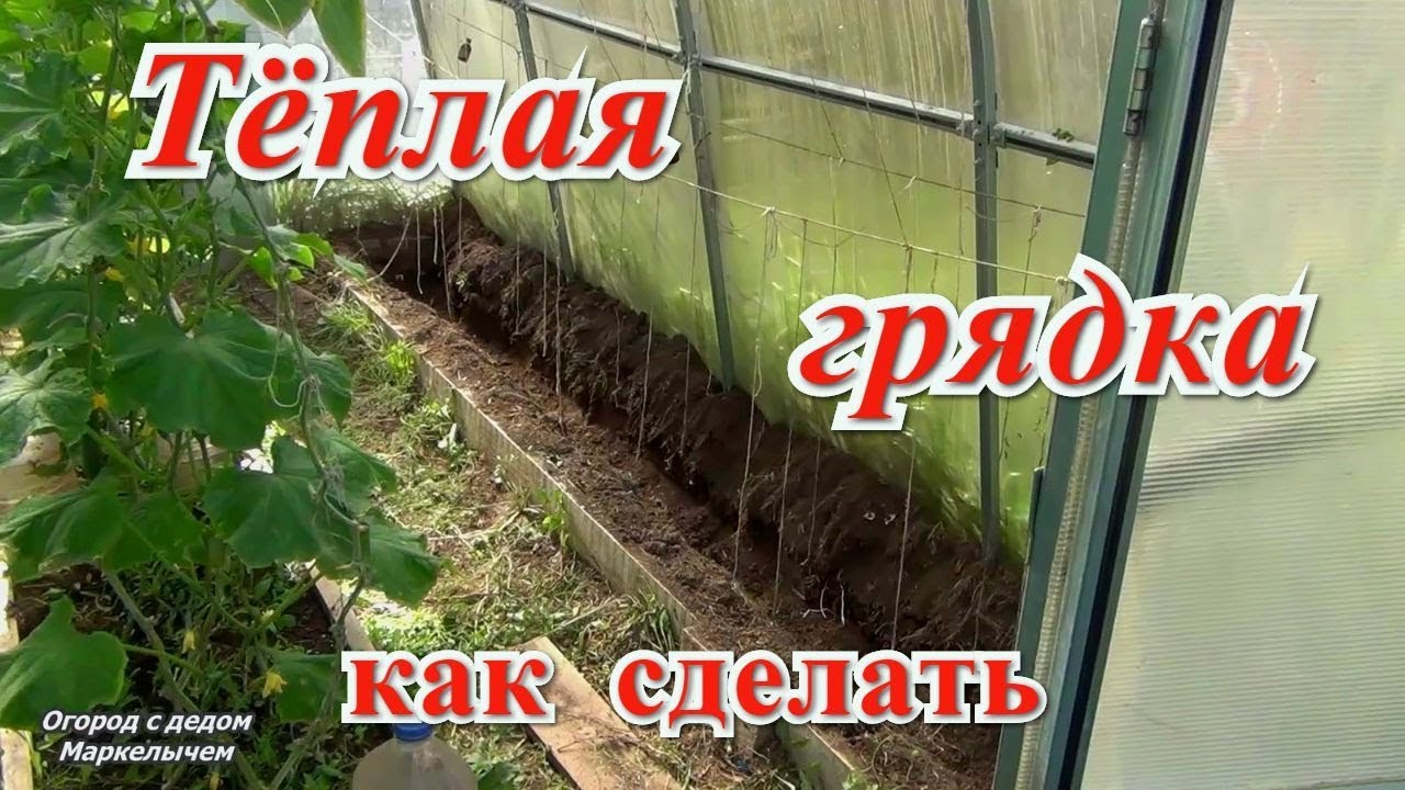 Как сделать тёплую грядку осенью.