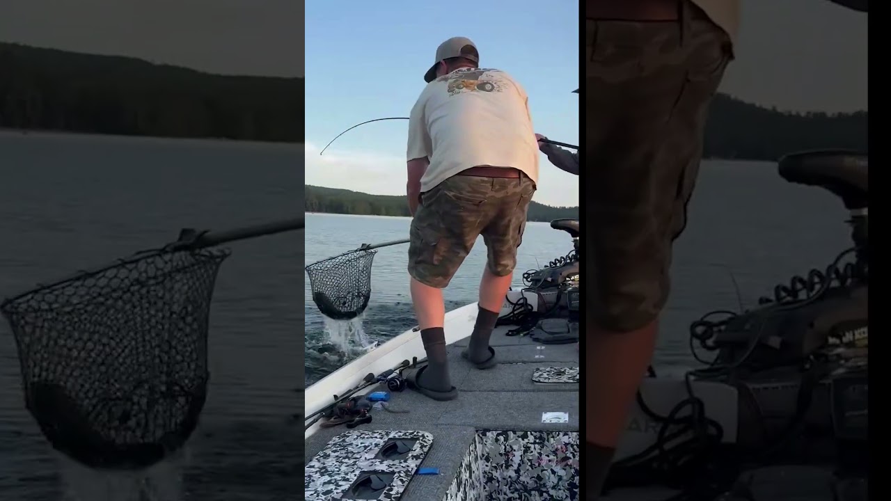 BIG BASS peeling DRAG! @bassproshops @Cabela-s #bass #fishing #fish #teamoutdoors #fypviralシ