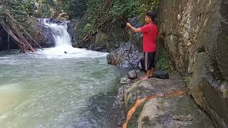 mengai ikan tengas di lata gading ulu Legong