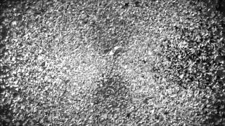 Affer Effects Cs4 Shattered Intro Ng