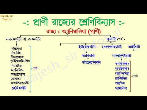 ভিডিও: তিন রাজ্যের শ্রেণিবিন্যাস পদ্ধতিতে?