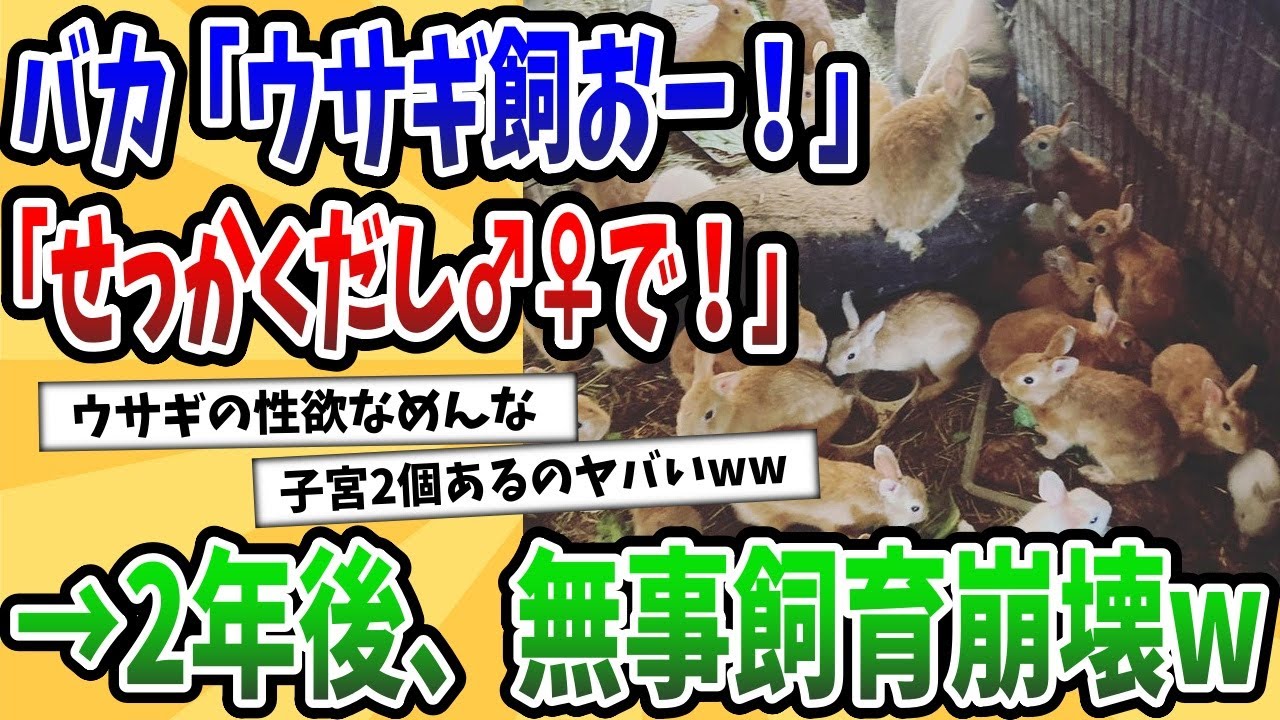 【2ch動物スレ】ウサギの繁殖力をなめた夫婦、オスメスで飼育してしまい→2年後、多頭飼育崩壊してしまうwww
