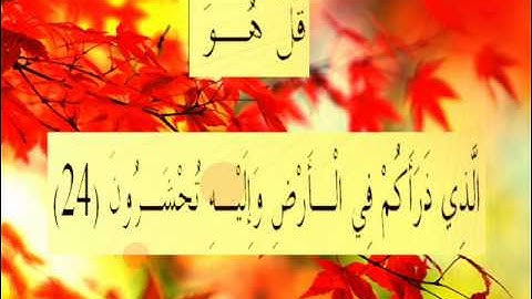 القران الكريم سورة الملك الأية 24.wmv