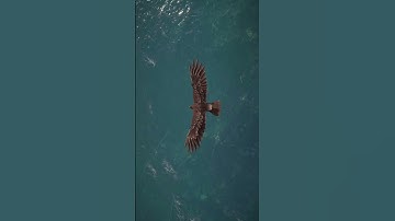 القارئ:ماهر المعيقلي #story #قرآن