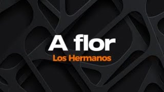 A flor - Los Hermanos - Karaokê