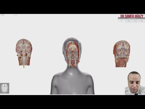 دورة تأهيلية فى علم التشريح الفيديو الأول د سامح غازى