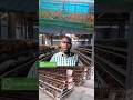 MKULIMA SMART ECONOMY CHICKEN CAGES