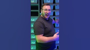 Are We True Breeders of Ball Pythons? 🐍✨