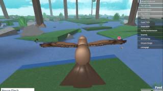 Roblox Vida De Passaro Bird Simulator screenshot 3