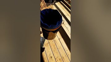 Step 1 of live rosin Bubble hash bags with modified vibrating bucket