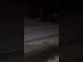 Snow in East Tennessee. February 5, 2026. Mohawk, Russelville, Greene, Hamblen, Hawkins Counties