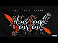Let us touch your soul(vocal mix)