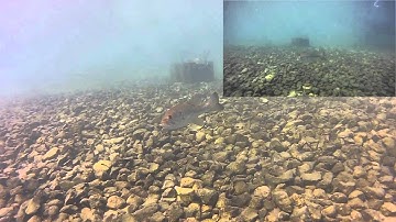 Blurfix Green Water Filter Comparison