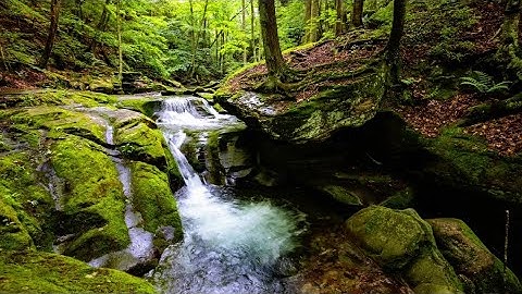 Nature waterfall background loop video 1 hour 4K