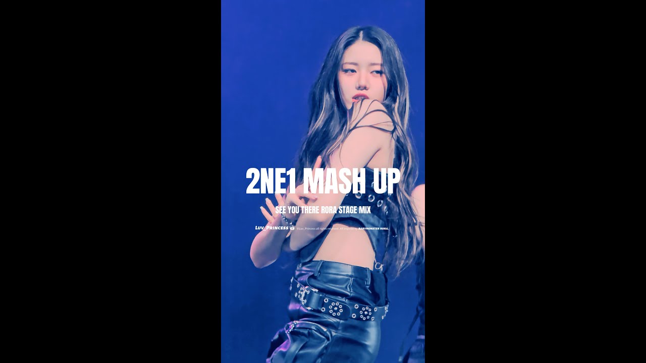 SEE YOU THERE - 2NE1 MASH UP(RORA FanCam) 교차편집 Stage Mix