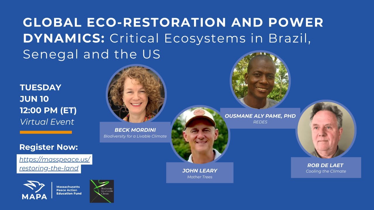 GLOBAL ECO-RESTORATION AND POWER DYNAMICS: