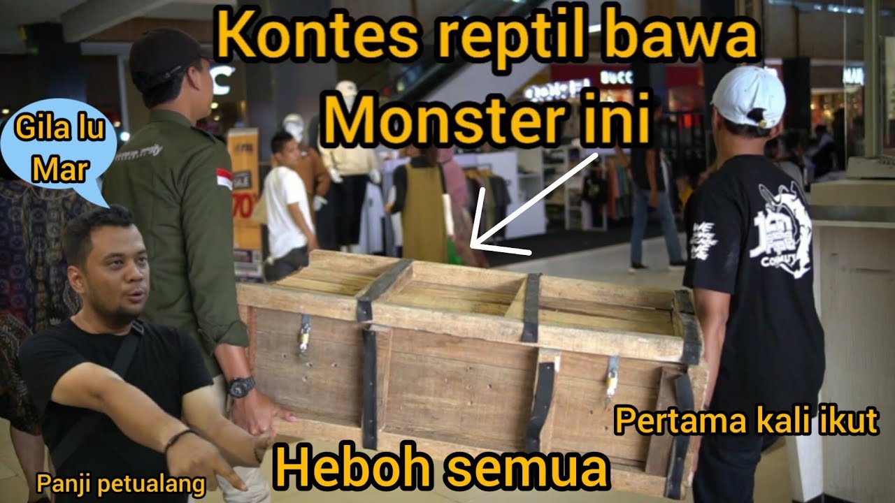 MONSTER INI NGAMUK SAAT KONTES REPTIL PENGUNJUNG SAMPAI TEGANG SEMUA