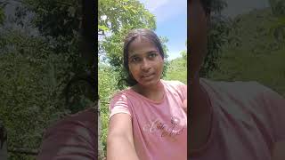 mere garden ka unic sag #anuradha #blog #shots #funny #minivlog