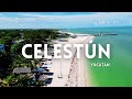 Video de Celestun