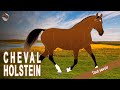 Le meilleur cheval de concours complet dallemagne  cheval holstein  races de chevaux
