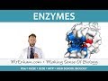 Enzymes - GCSE Biology (9-1)