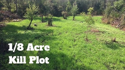 Brassica Kill Plot | 1/8 Acre Kill Plot