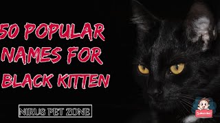 50 POPULAR AND FUNNY NAMES FOR YOUR BLACK CAT | NIRU'S PET ZONE by Niru's Petzone 5,529 views 3 years ago 4 minutes, 28 seconds