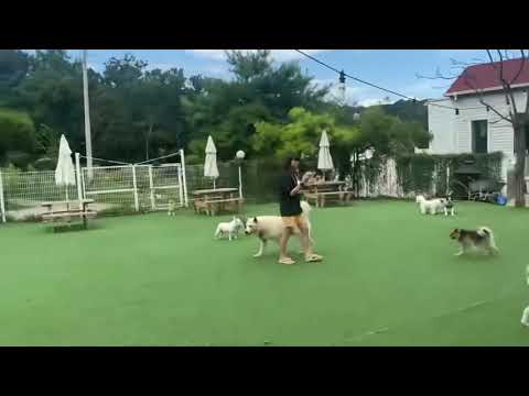 인천개공원 호텔에 간 만세!(21년 8월 19일 낮)