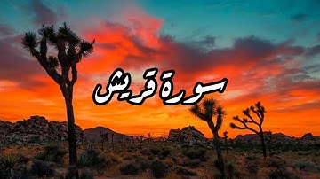 سورة قريش القارئ /زكي داغستاني