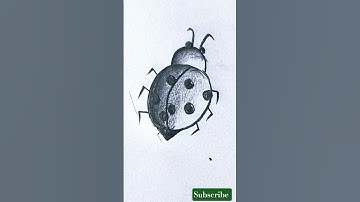 Ladybug 🐞 drawing | easy step by step drawing tutorial #shortsfeed