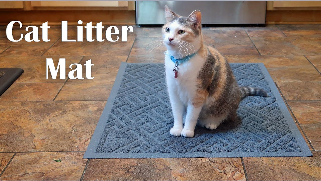 PETLINKS Purrfect Paws Cat Litter Mat, Blue, Medium 