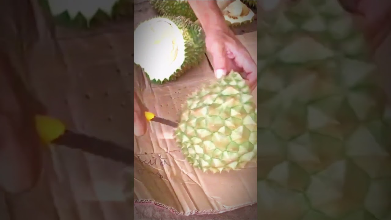 👉 Peeling the Long Durian in a Strange Way 🍈✨ | Best Durian Quality Ever! 