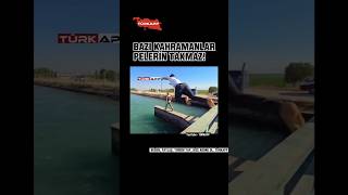 🔴 Bazi Kahramanlar Peleri̇n Takmaz 👏🏼 Resimi