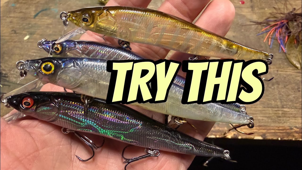 5 Jerkbait Adjustments You Can Make To Catch More Fish 