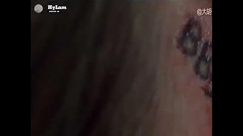 Review Phim The Bad Batch | Tham Lam TV