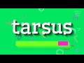 How to say "tarsus"! (High Quality Voices)