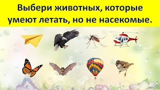 Выбери животных, которые умеют летать, но не насекомые.Выбери предмет не красного цвета и не круглый