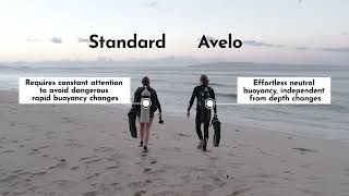 The Avelo Solution