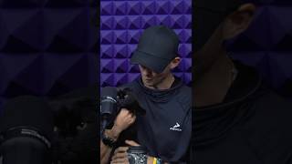 Замурчательные путешествия