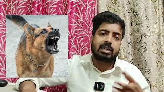 Do aggressive dog become friendly after sterilization? by Pomtoy Anurag 1,348 views 6 days ago 2 minutes, 47 seconds