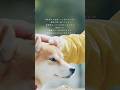 それ以外の人生なんてありえないや