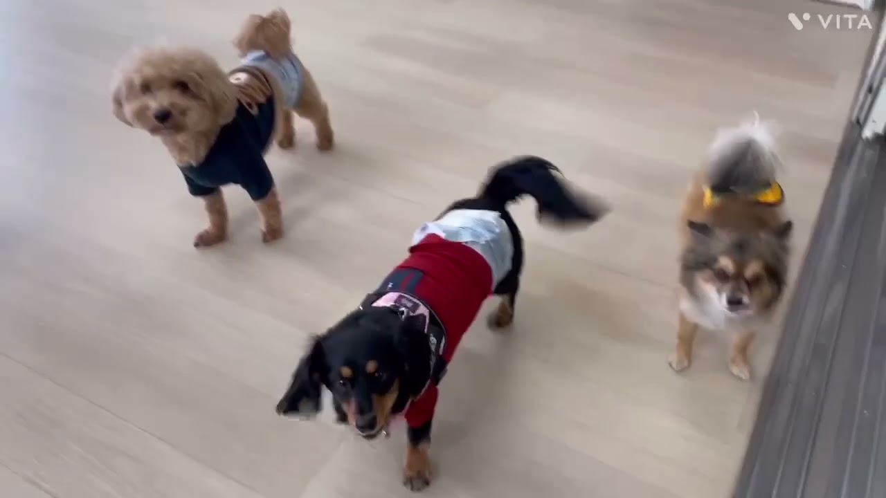 2025/12/13 - YouTube