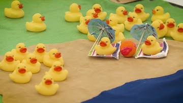 The AI Driving Olympics