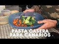 PASTA 100% CASERA PARA CANARIOS / vlog canariocultura / vlog semanal.