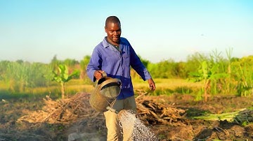 how to make the most powerful organic fertilizer