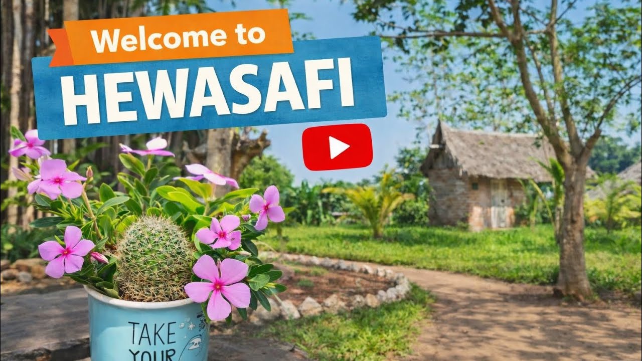 Discover Hewasafi 🌴 | Views, Bar, Nature & Relaxation