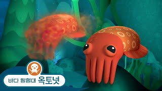 바다 탐험대 옥토넛 - 아주 교활한 갑오징어 - 모음집