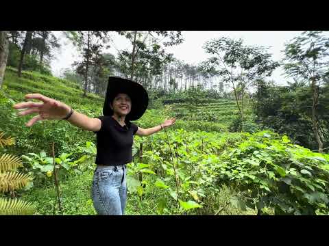 HOME TOUR RUMAH HUTAN MAS DODIT
